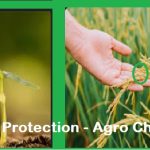 Crop Protection Agro Chemical Demands in Worldwide