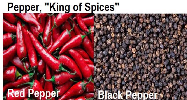 Pepper: Exploring the Widely Used Spice’s Exim Code, Future Market Opportunities, and Top Exporters and Importers