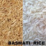Basmati Rice More Demanding in the World from Asian Countries