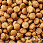 Exploring Export-Import Business Opportunities of Pet Food Ingredients