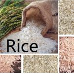 https://www.eximtutor.com/2023/09/24/top-reasons-and-opportunities-for-the-global-demand-of-basmati-rice-from-asia/
