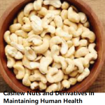 The Essential Role of Cashew Nuts and Derivatives in Maintaining Human Health