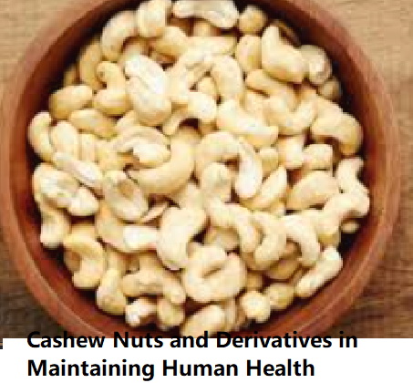 The Essential Role of Cashew Nuts and Derivatives in Maintaining Human Health