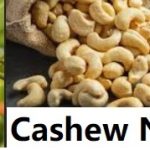 Worldwide Cashew Nut Export Import Demand
