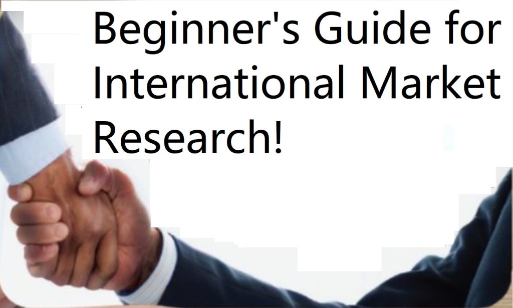 Beginner's Guide for International Market Research