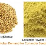 Benefits and Global Demand for Coriander Seeds and Powder